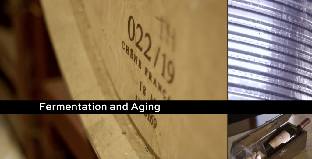 Solar Viejo 6 - Fermentation and Aging