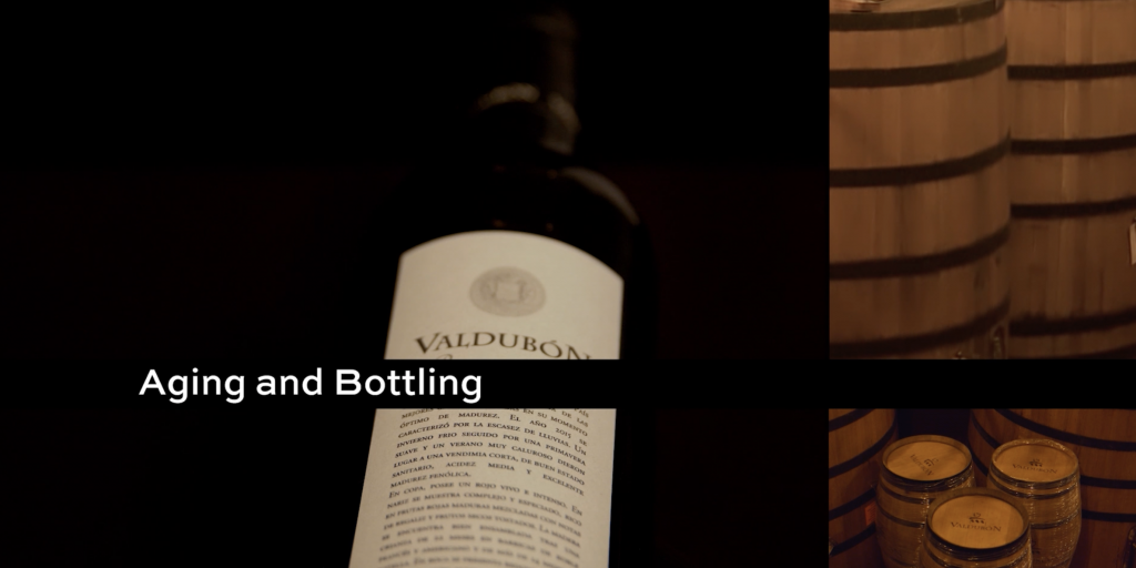 Valdubon 7 - Aging and Bottling
