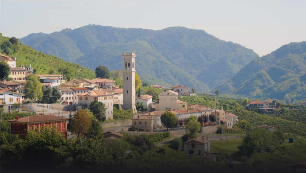 Mionetto Vineyards