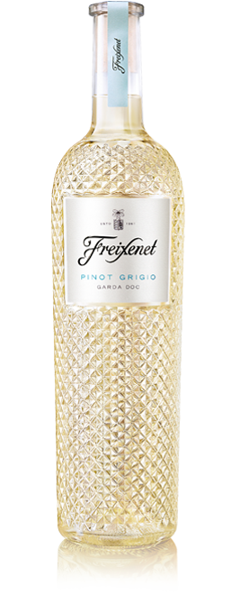 Freixenet Pinot Grigio - Freixenet Mionetto